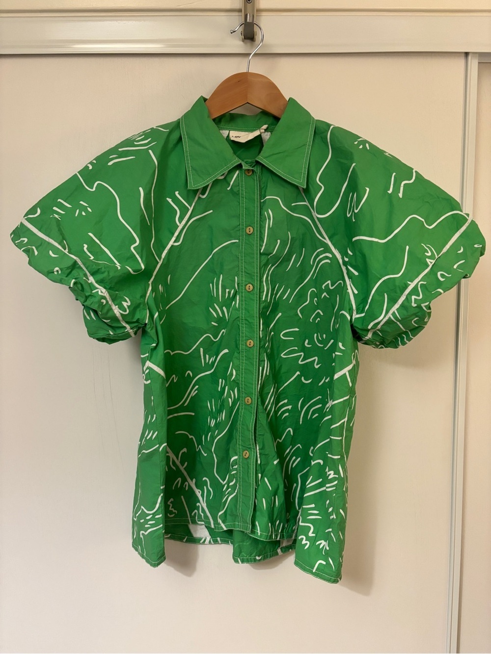 Lovebirds Top Size Large Green Relaxed Dopamine Maximalist Rare Dramatic Puff - Picture 2 of 10